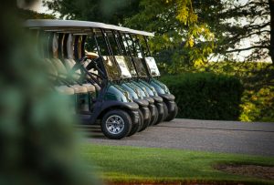 electric golf cart charger